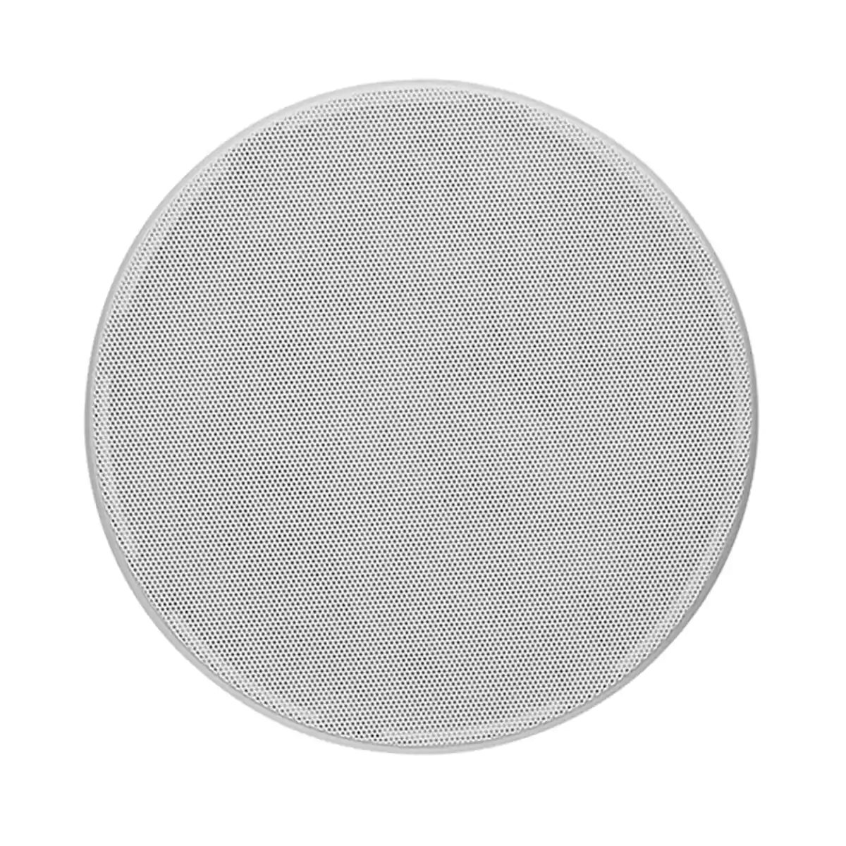 Littora 1000 ICW8 - Image 2