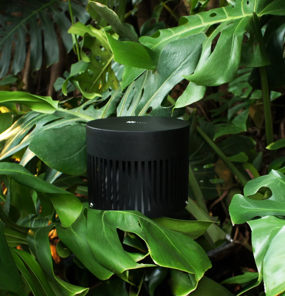 Polly Sub 8 bass outlet among plants, a component of Backyard Essential