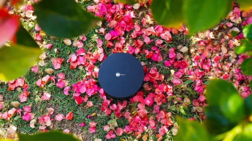 Magna Audio Polly Sub 8 Outdoor Subwoofer