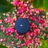Magna Audio Polly Sub 8 Outdoor Subwoofer — manufacturer product or installation image; finish shown is illustrative