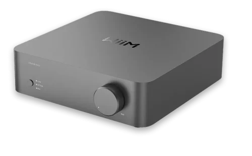WiiM Vibelink Amp